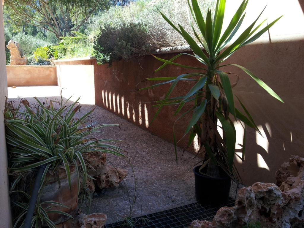 Agroturisme Es Picot Son Macia  Kamer foto